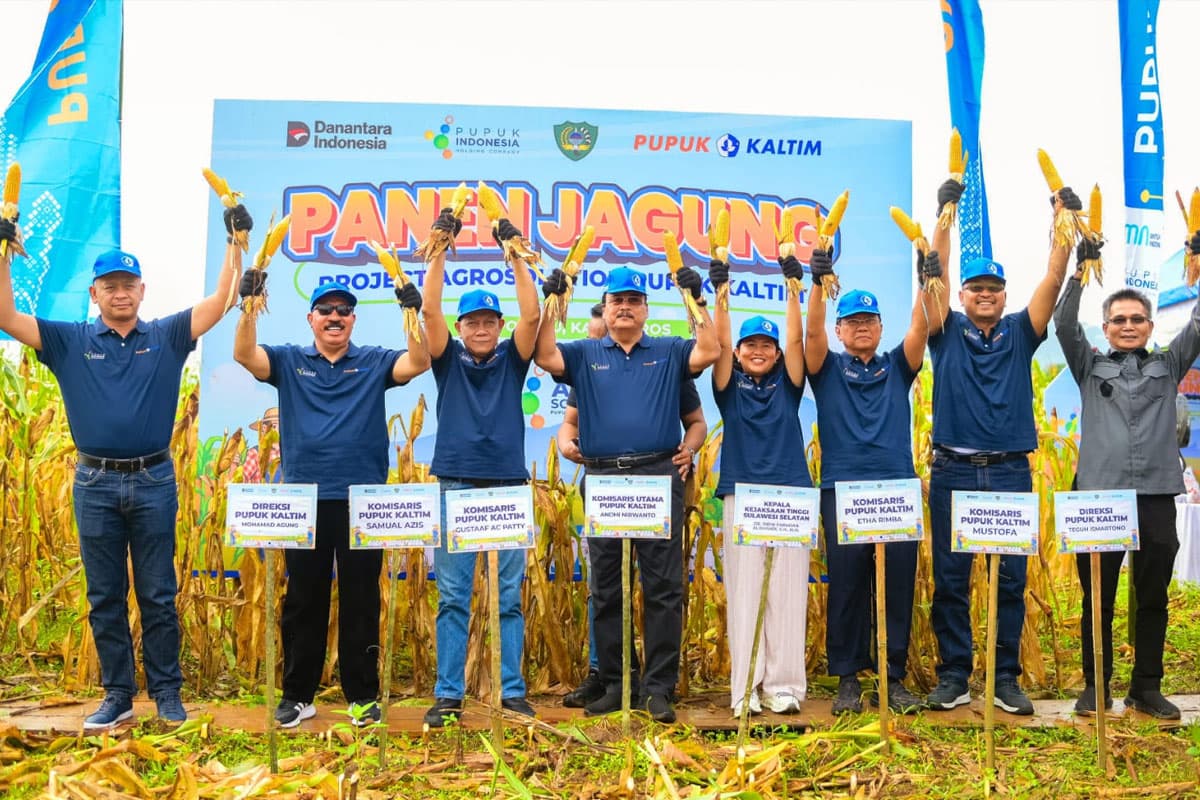 Agrosolution Pupuk Kaltim Dongkrak Produksi Jagung Maros 140 Persen